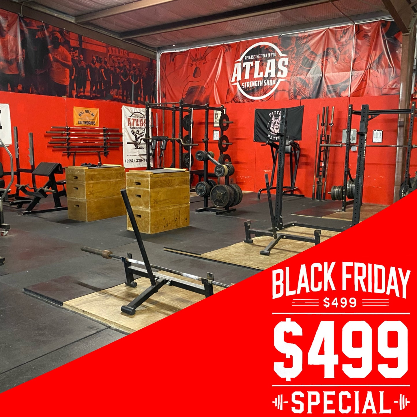 Black Friday Special!!