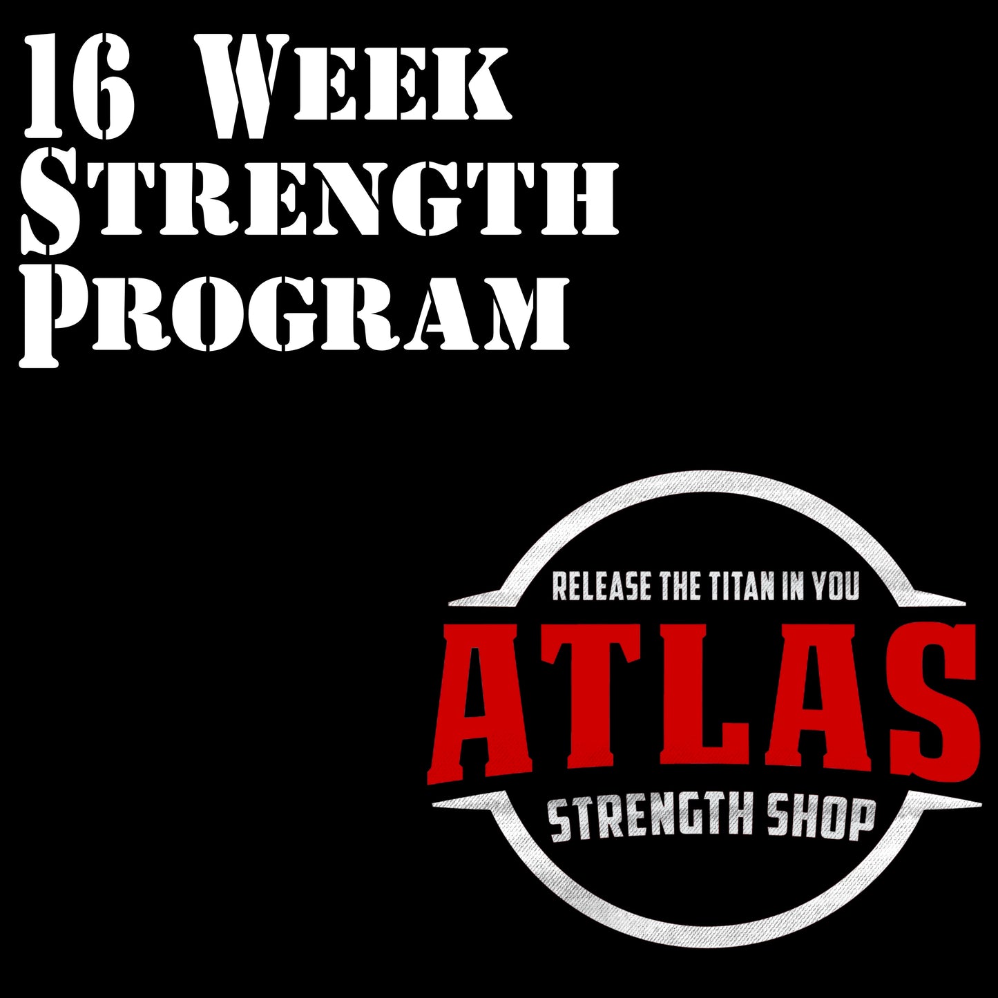 Personalized Training Program (16 Weeks)