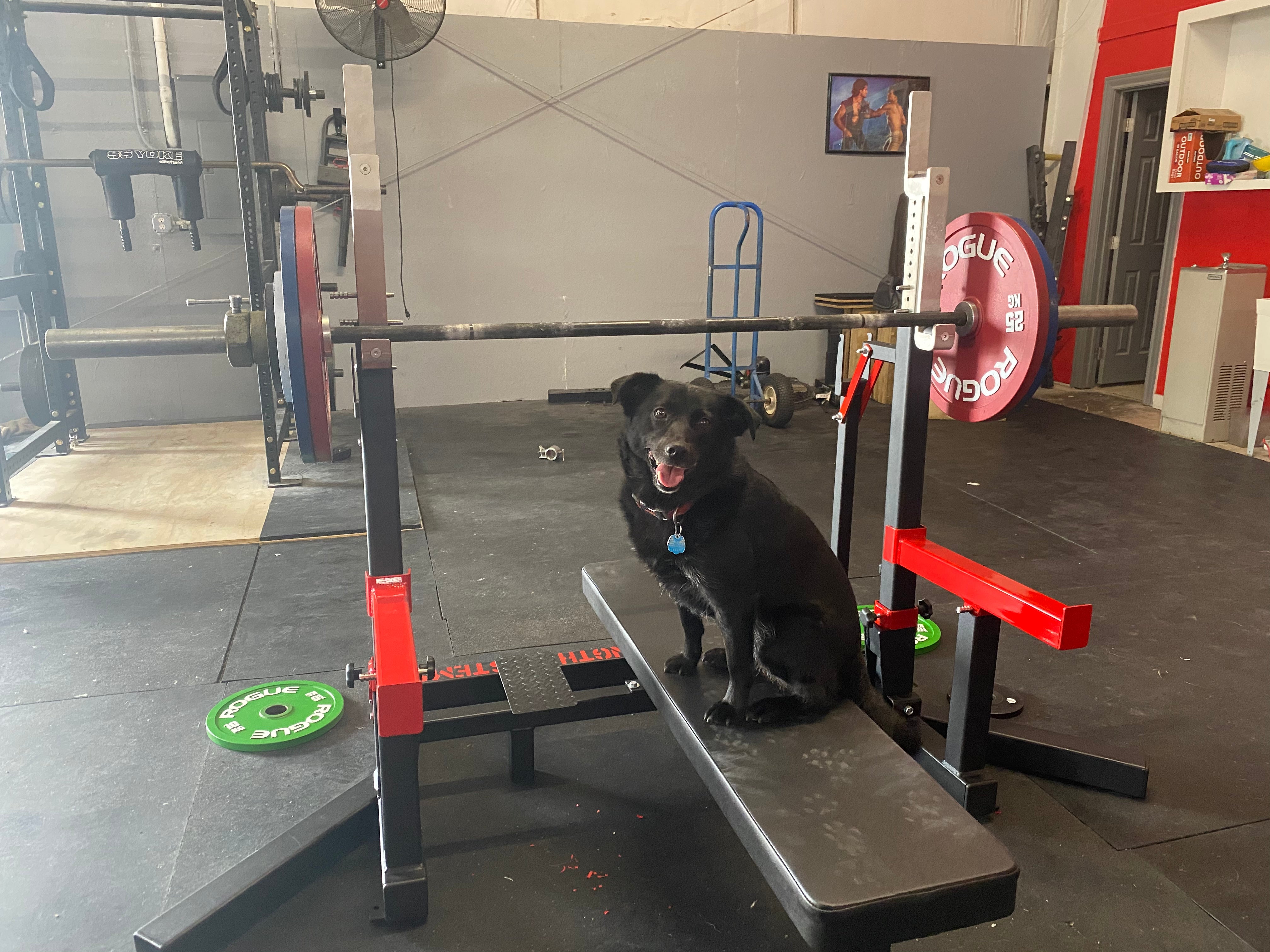 The Gym β AtlasStrengthShop